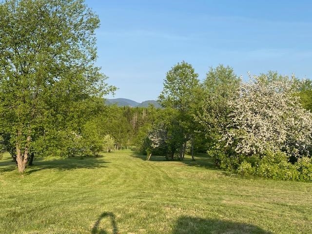 Off Reed Road