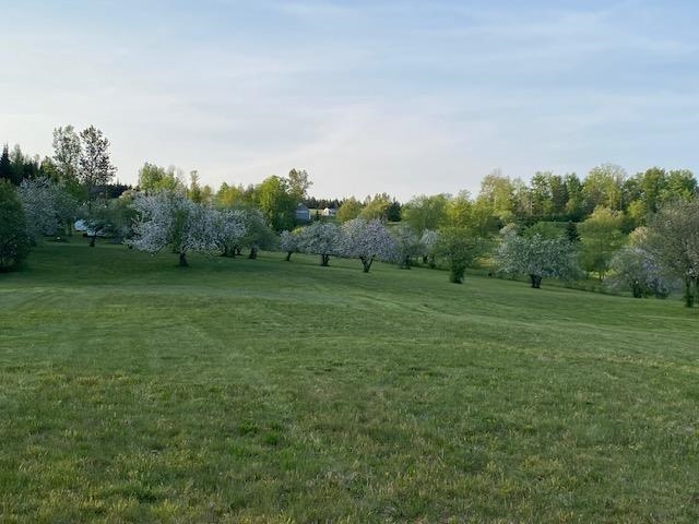 Off Reed Road