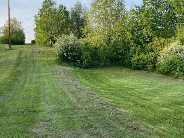 Off Reed Road