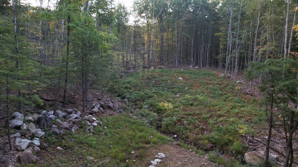 Photo of 0 Innsbruck Drive #131, New Durham, NH 03855 (MLS # 5115036)