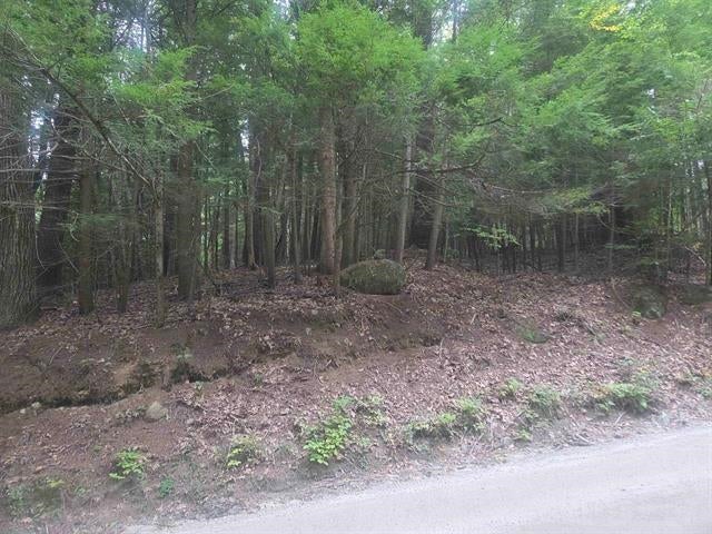 Photo of 930 Gould Pond Road, Hillsborough, NH 03244 (MLS # 5115028)