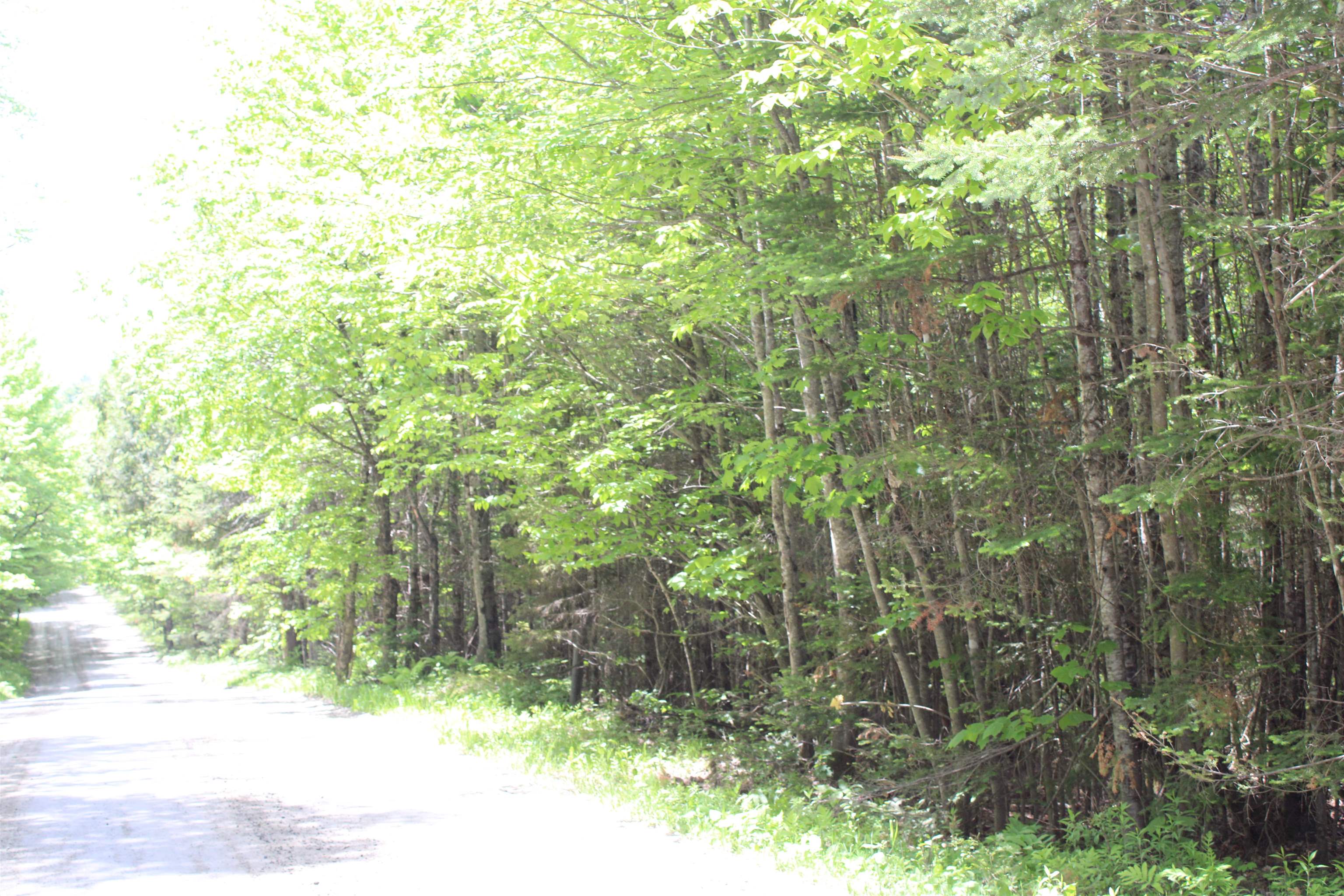 Long Hill 1