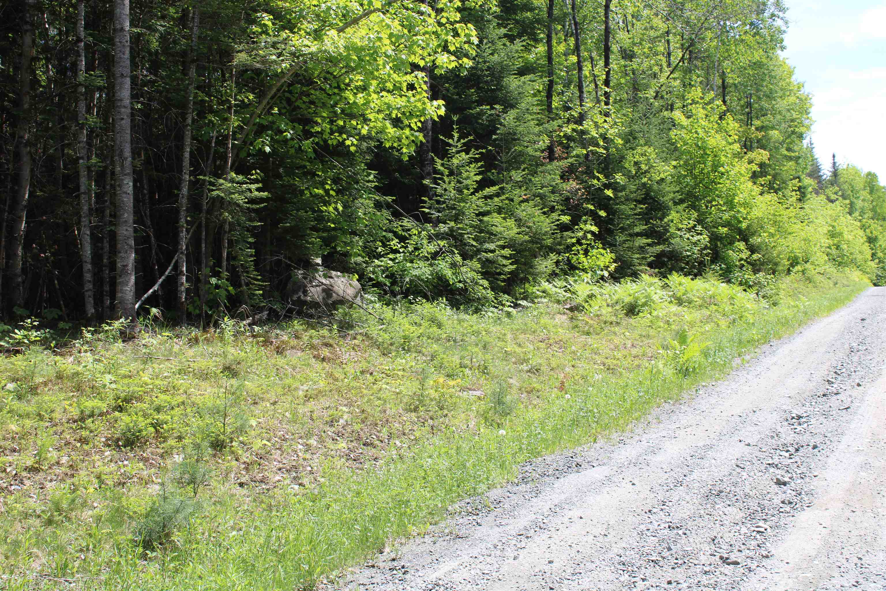 Long Hill 1