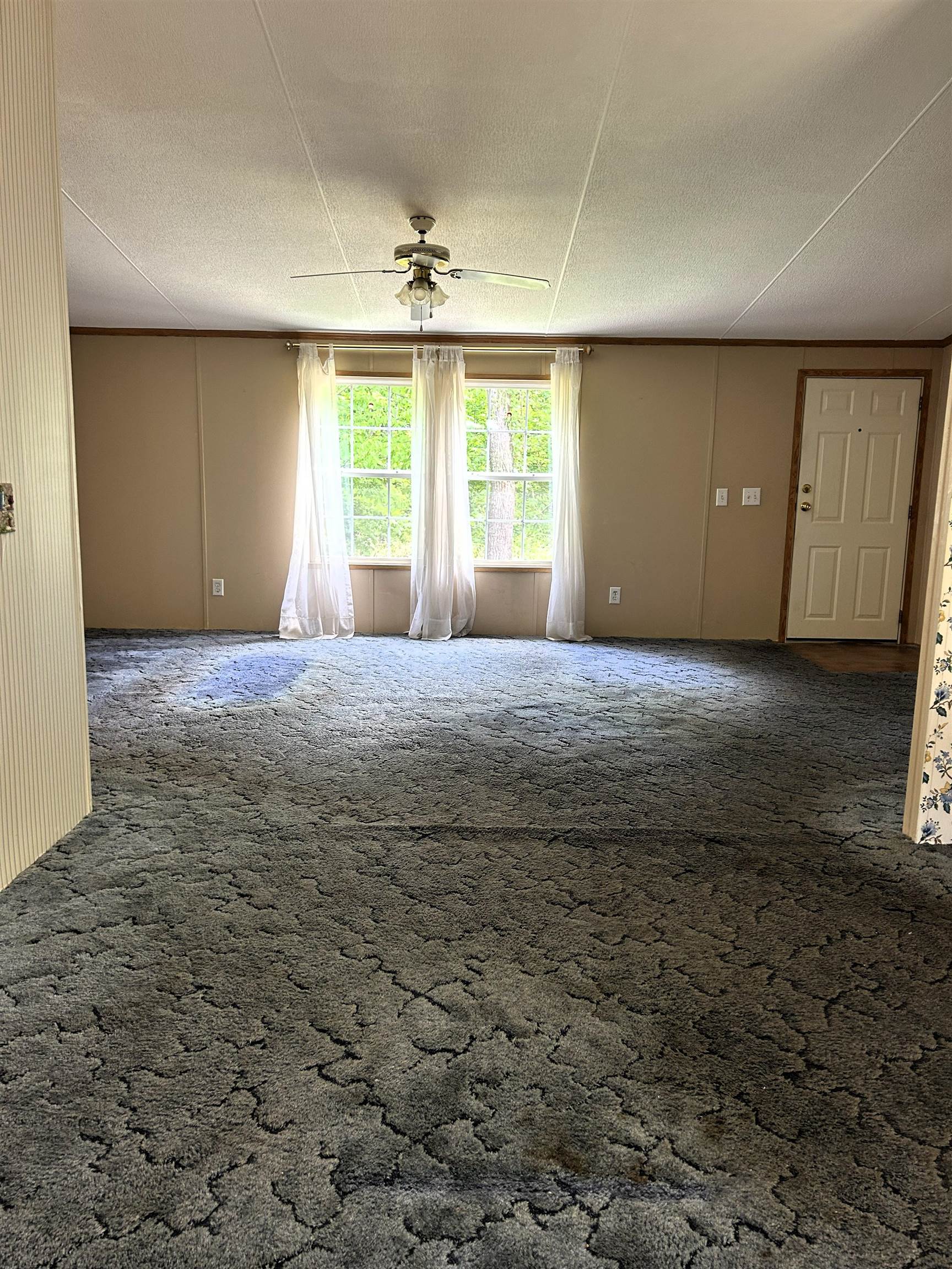 236 Willey Road