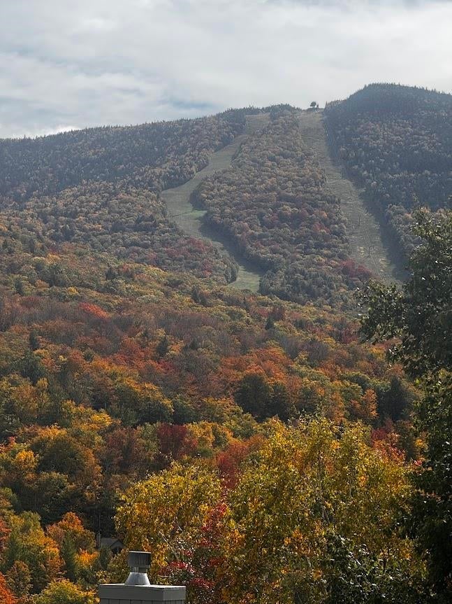 Photo of 252 Ravine Lane, Lincoln, NH 03251 (MLS # 5112827)