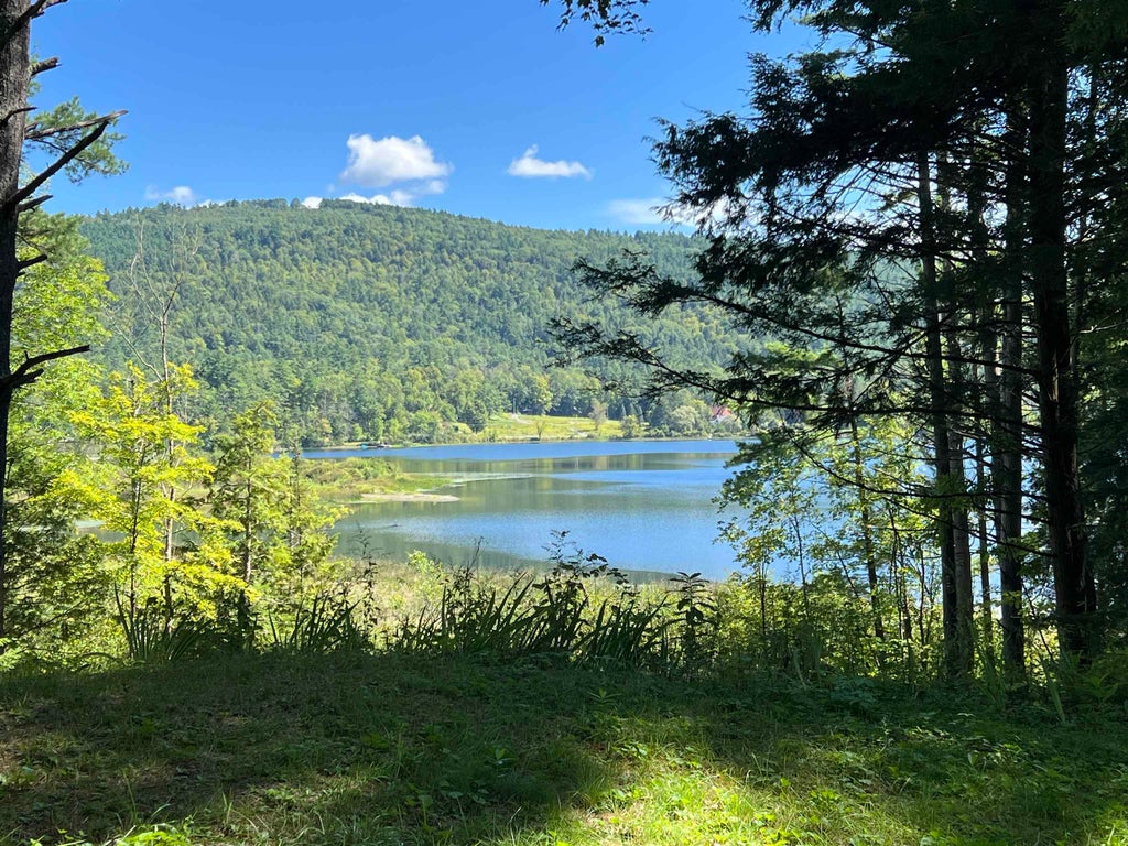 Photo of 31 Post Pond Lane, Lyme, NH 03768 (MLS # 5083505)