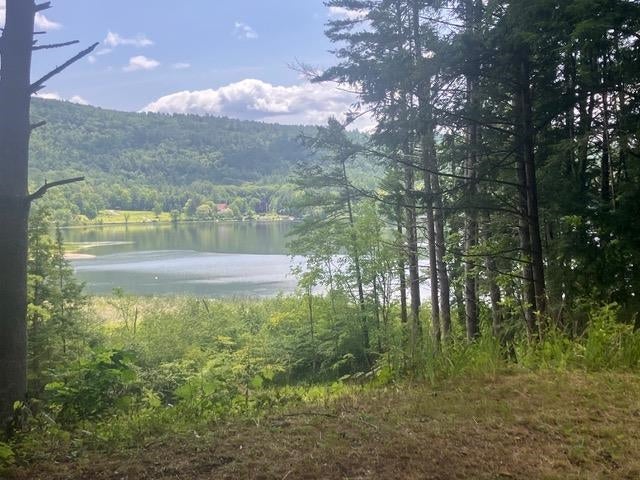 Photo of 31 Post Pond Lane, Lyme, NH 03768 (MLS # 5083505)