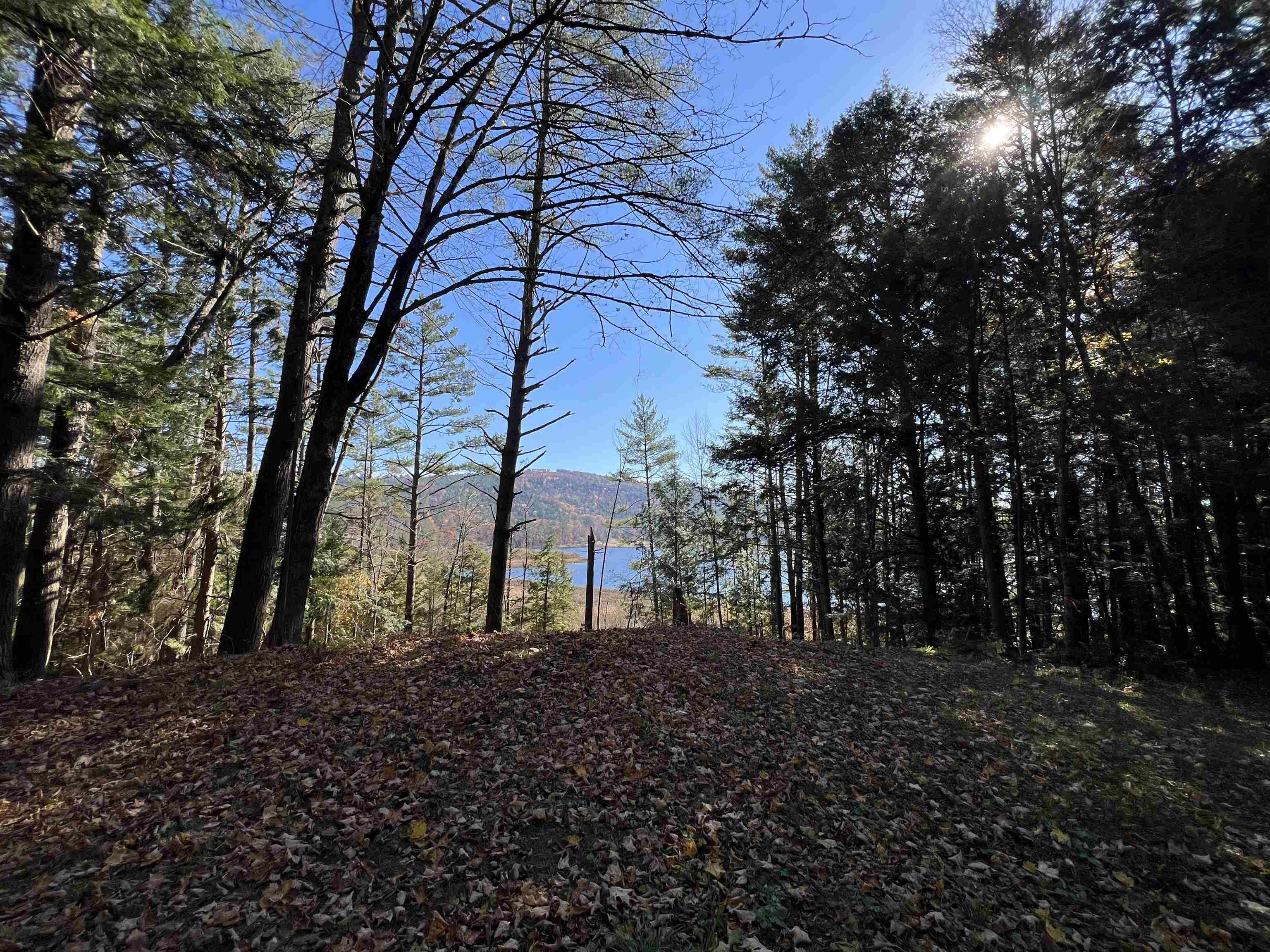 31 Post Pond Lane