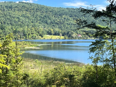 Photo of 31 Post Pond Lane, Lyme, NH 03768 (MLS # 5083505)