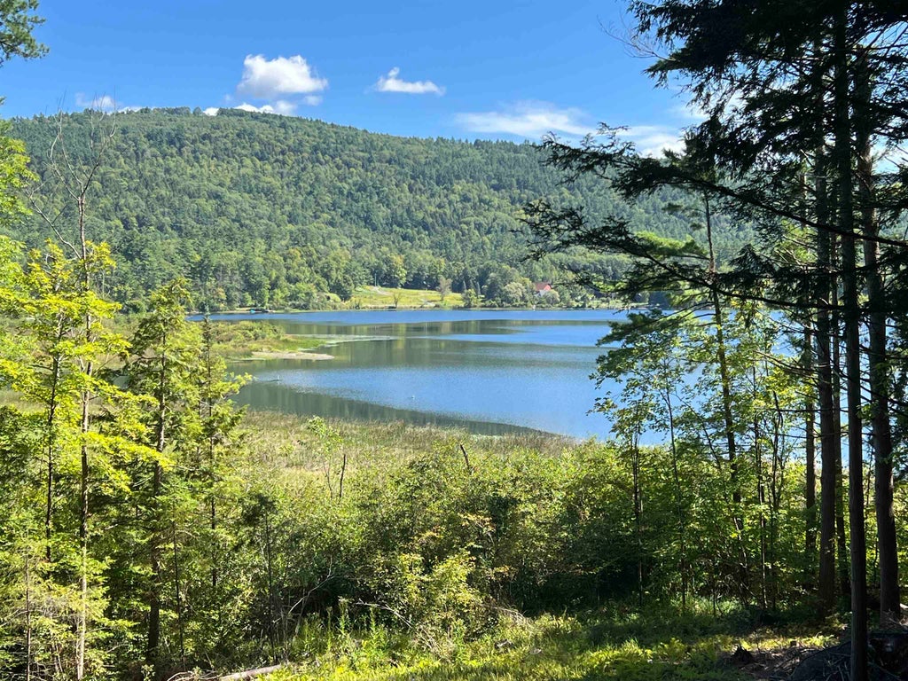 Photo of 31 Post Pond Lane, Lyme, NH 03768 (MLS # 5083505)