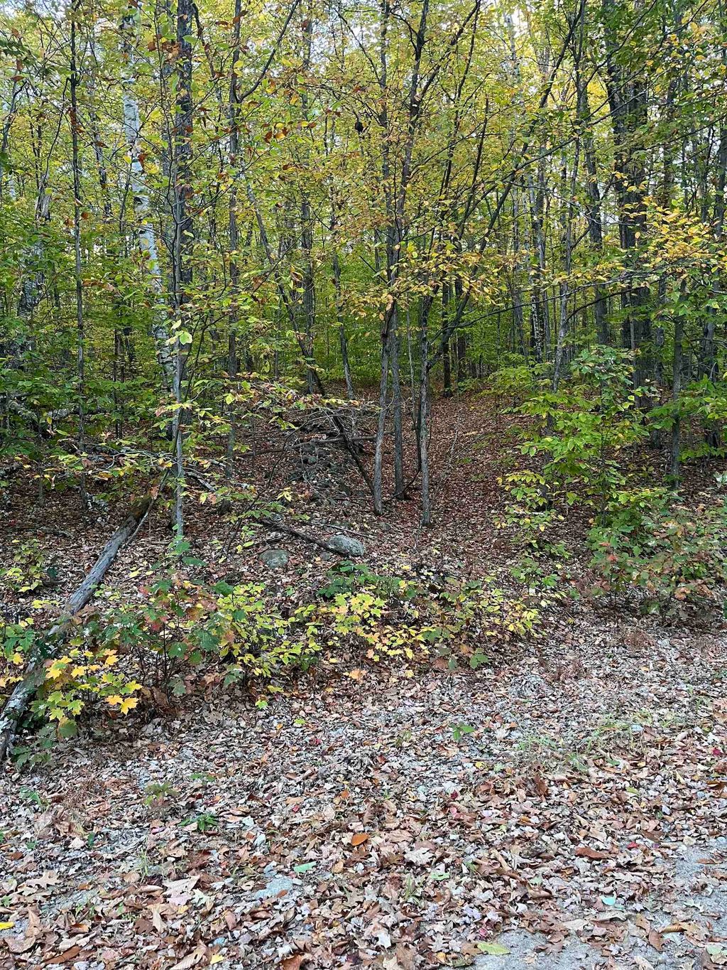 Photo of 1041 David Thompson Drive, Campton, NH 03223 (MLS # 5097104)