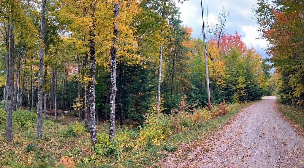 Photo of 5 Partridge Road, Jackson, NH 03846 (MLS # 5108501)
