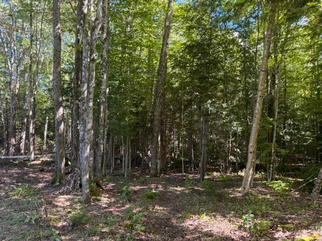 Photo of 5 Partridge Road, Jackson, NH 03846 (MLS # 5108501)