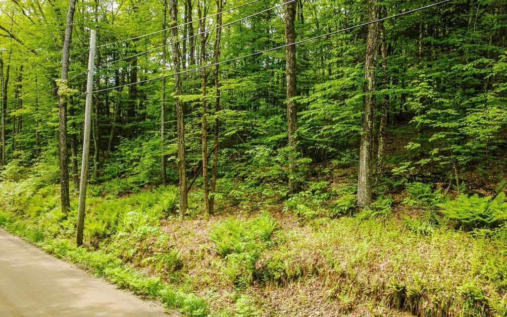 Photo of 00 Camp Brook Road #Map 30 Lot 67, Alstead, NH 03602 (MLS # 5091496)