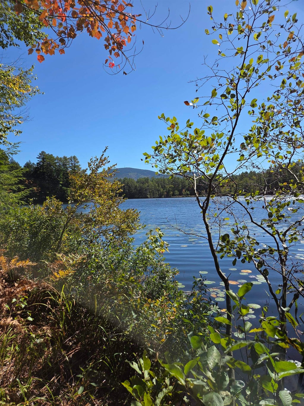 Photo of Quiet Cove Way #5, Wilmot, NH 03287 (MLS # 5064270)