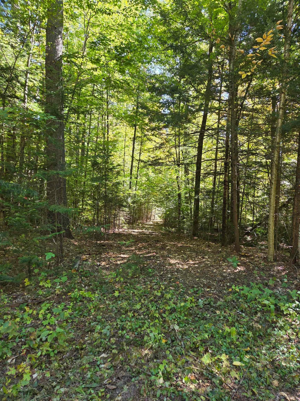 Photo of Quiet Cove Way #5, Wilmot, NH 03287 (MLS # 5064270)