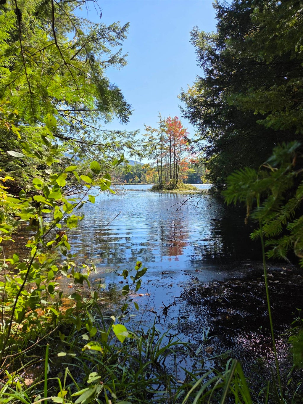 Photo of Quiet Cove Way #5, Wilmot, NH 03287 (MLS # 5064270)