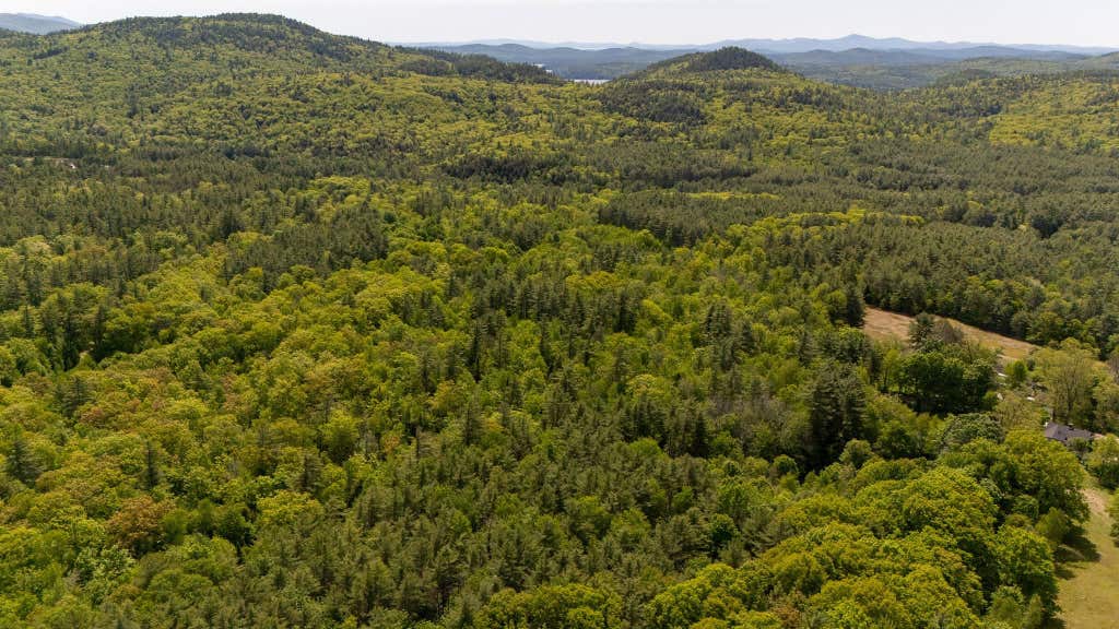 Photo of land lot Beede Road, Holderness, NH 03245 (MLS # 5092397)