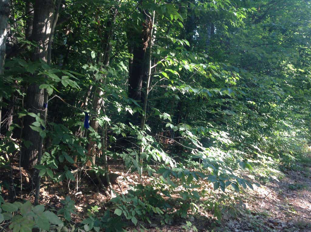 Photo of 29 Stoneview Road, Ossipee, NH 03864 (MLS # 5105914)