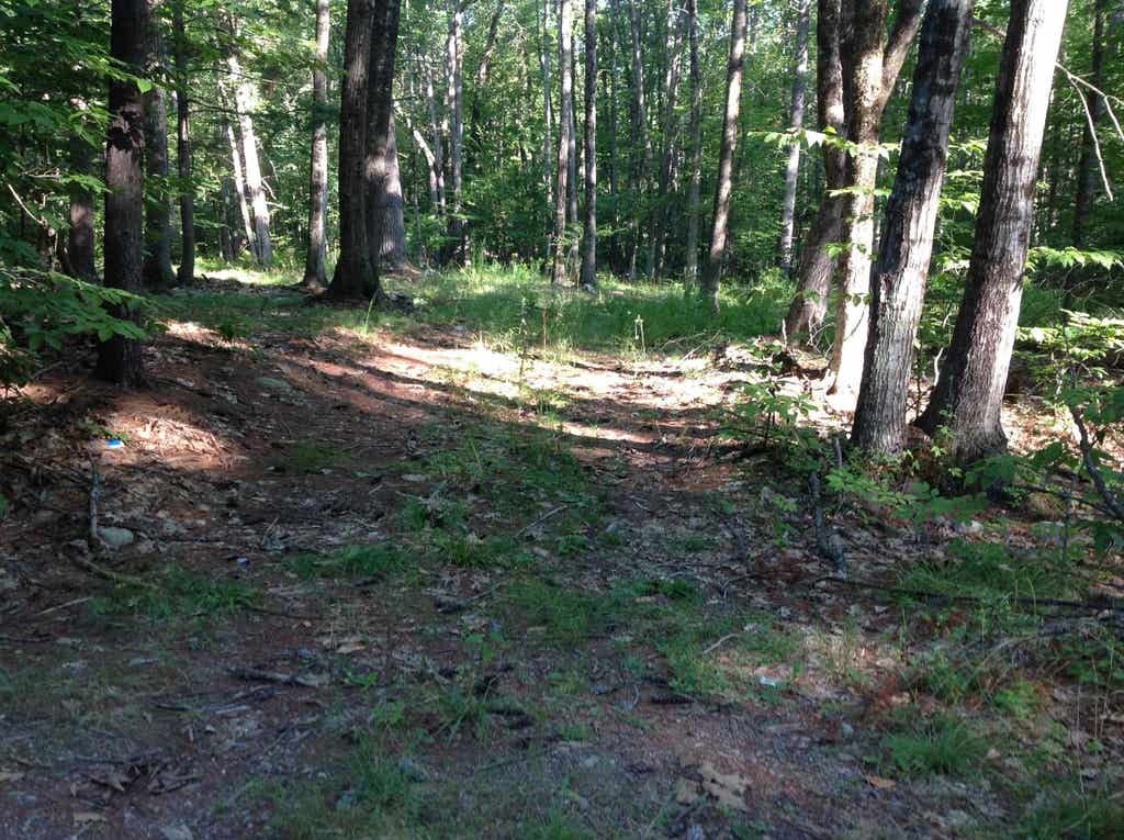 Photo of 29 Stoneview Road, Ossipee, NH 03864 (MLS # 5105914)