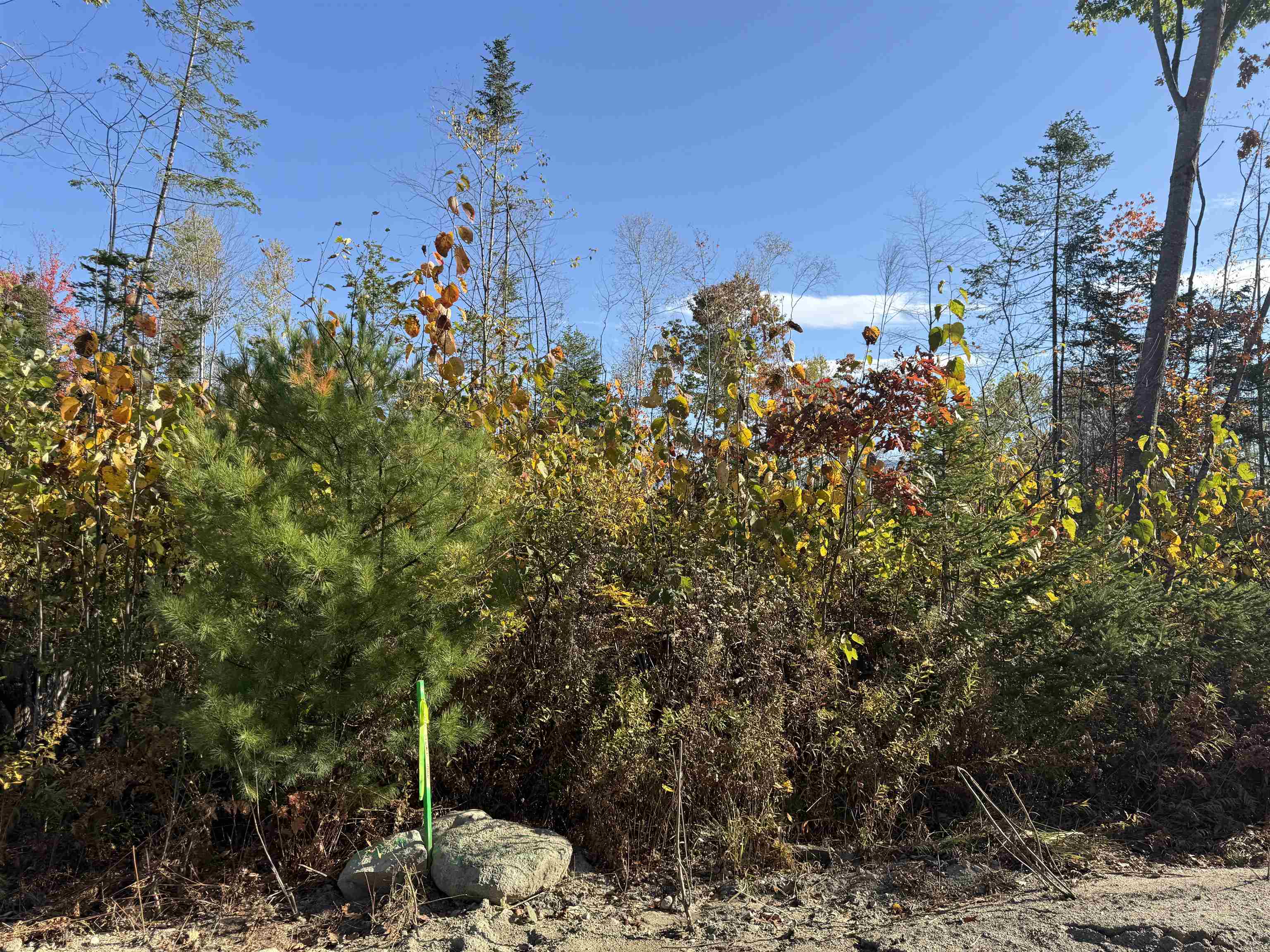Lot 25 Hartco Avenue - Photo 4