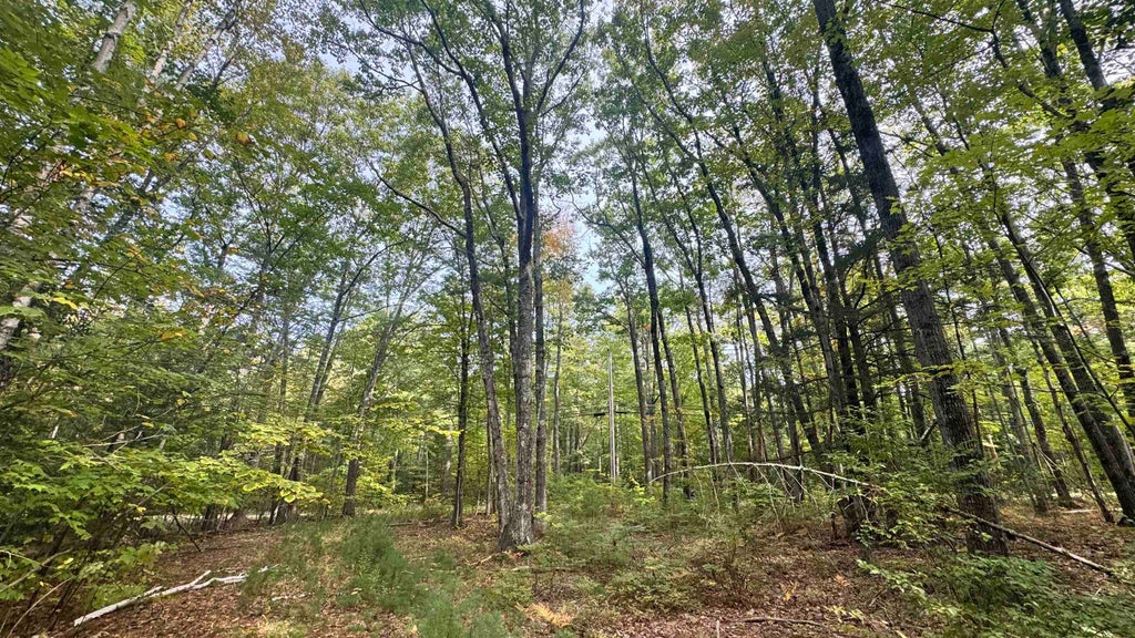 Photo of 187 Lowell Street, Rochester, NH 03867 (MLS # 5111593)