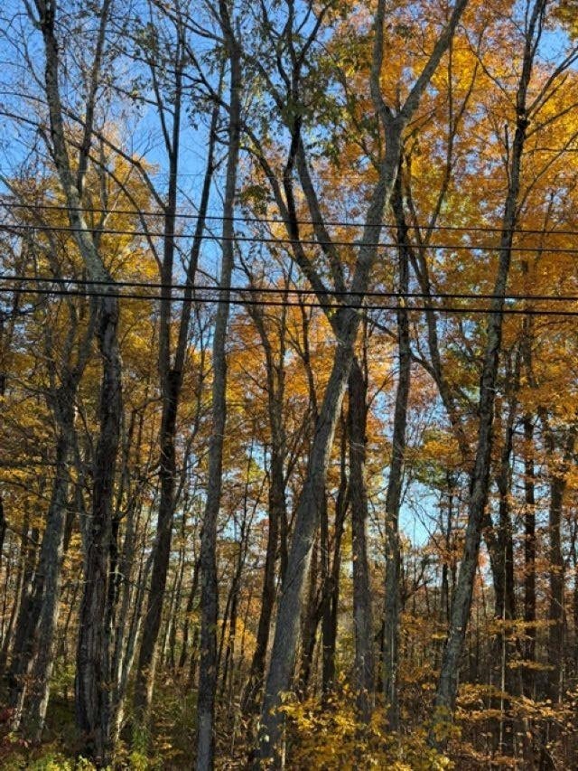 Photo of 0 Hall Farm Road, Atkinson, NH 03811 (MLS # 5115714)