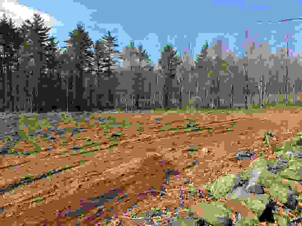 Photo of 00 Hale Road #2, Sanbornton, NH 03269 (MLS # 5079838)
