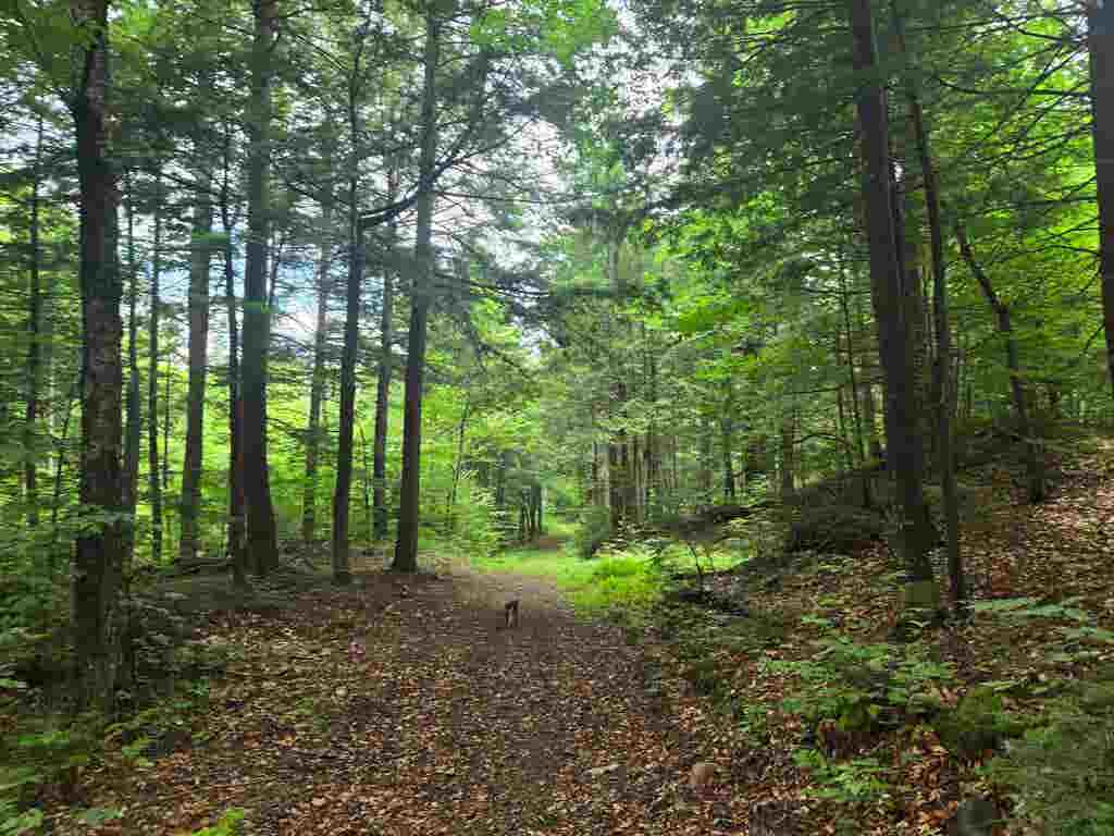 Photo of 14141 Brownfield Road, Conway, NH 03813 (MLS # 5103740)