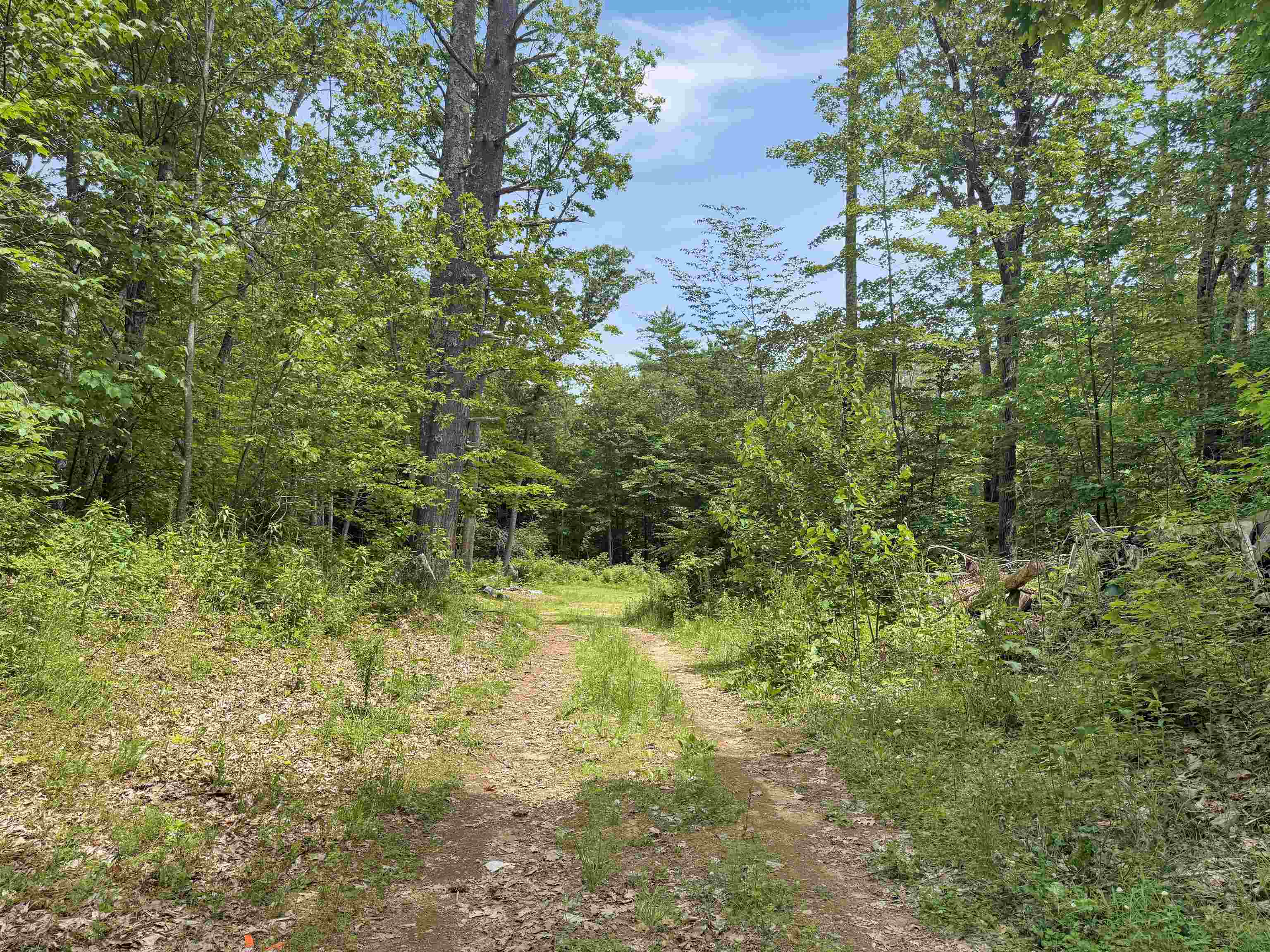 Lot 76-20-1 Sheridan Road