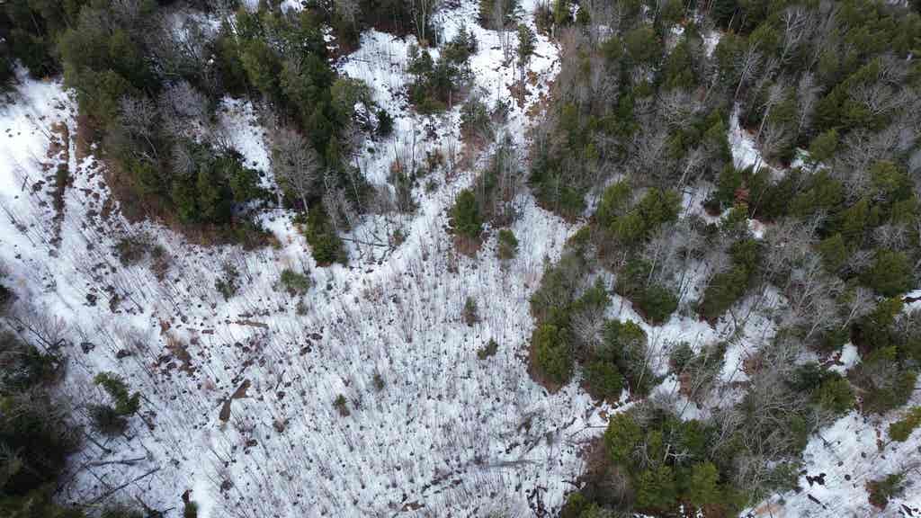 Photo of TBD Fox Drive, Gilmanton, NH 03237 (MLS # 5080928)