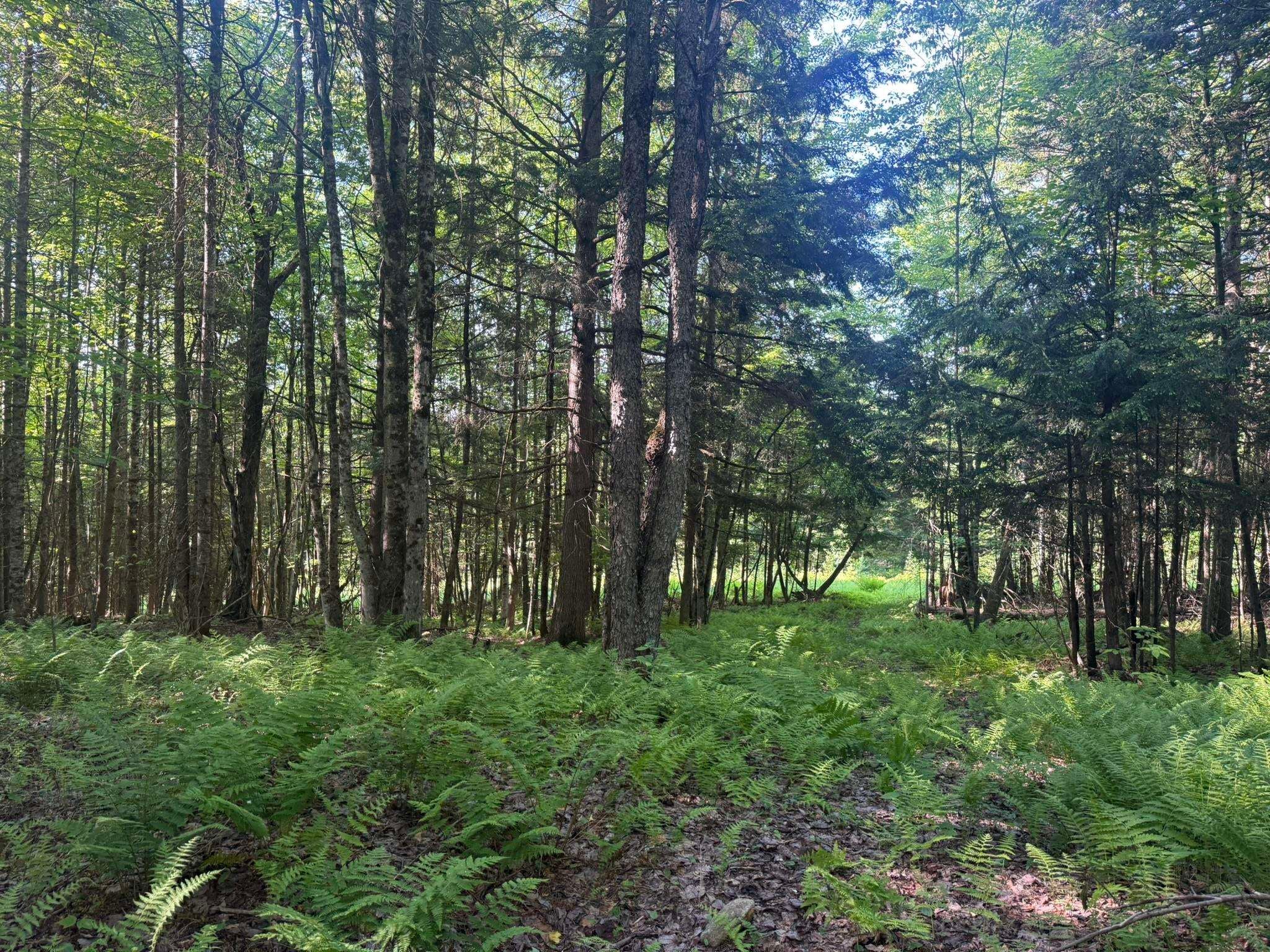 0 Roaring Brook Road