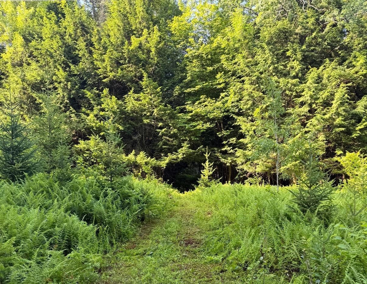 0 Roaring Brook Road