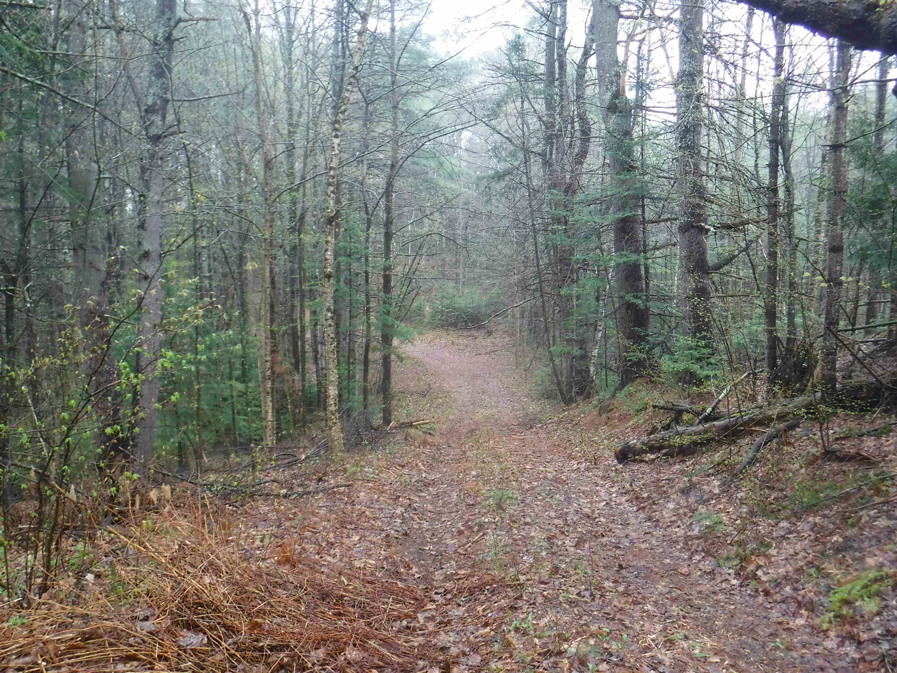 001 Sand County Road 98