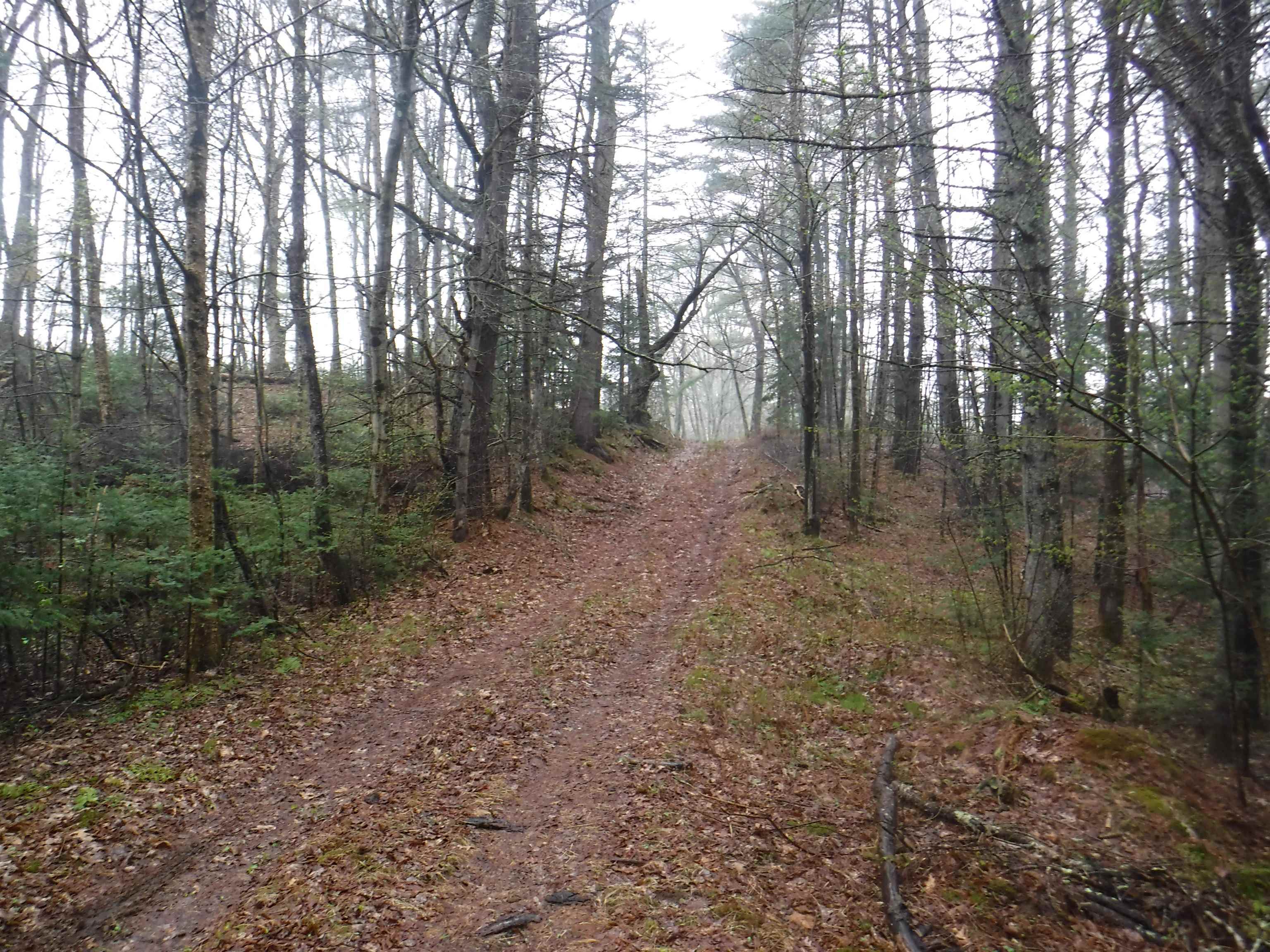 001 Sand County Road 98