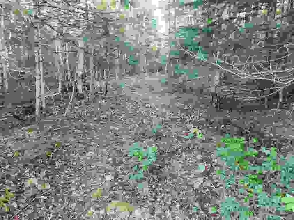 Photo of 0000 Hampshire Woods Loop #R013-0007-0033, Errol, NH 03579 (MLS # 5106483)