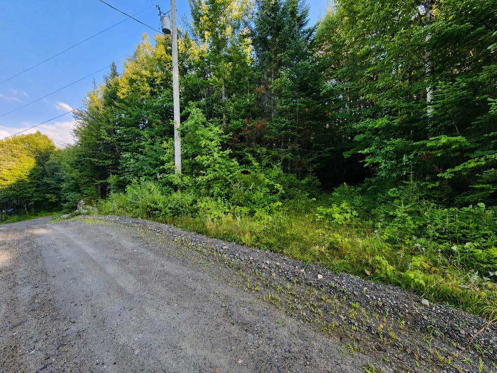 Photo of 0000 Hampshire Woods Loop #R013-0007-0033, Errol, NH 03579 (MLS # 5106483)