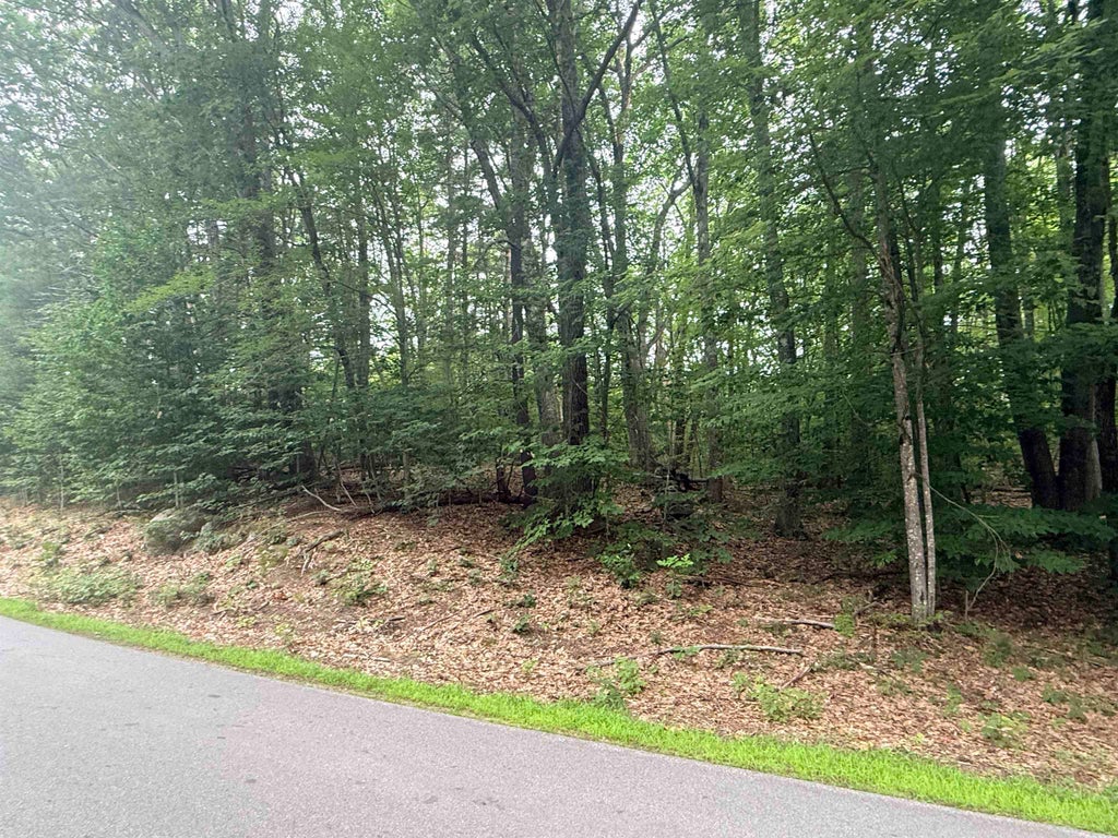 Photo of 402 Baptist Hill Road, Canterbury, NH 03224 (MLS # 5101334)