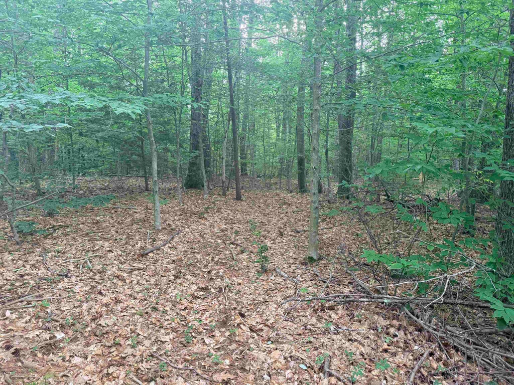 Photo of 402 Baptist Hill Road, Canterbury, NH 03224 (MLS # 5101334)