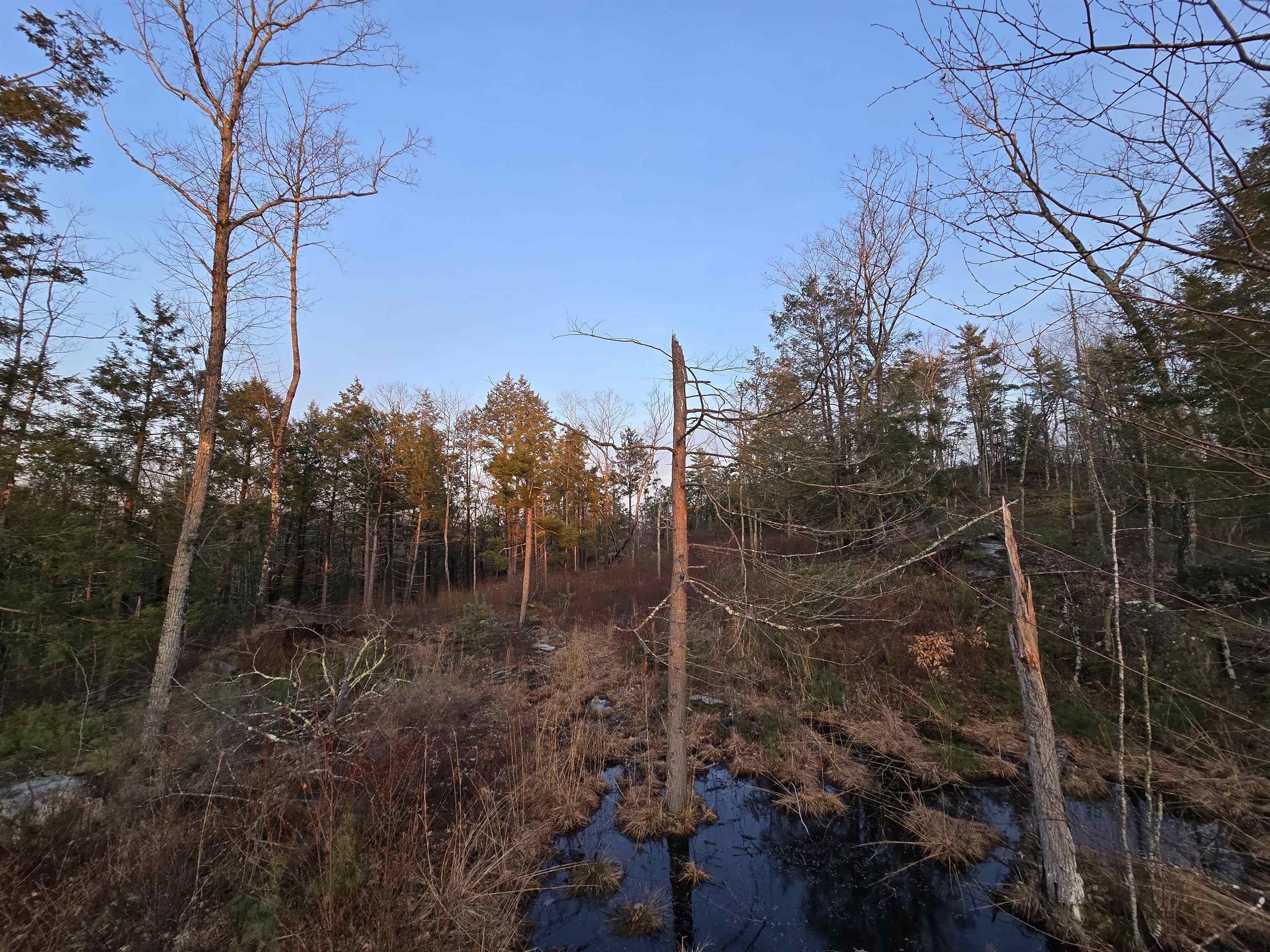 Map 104 Berry River Road 3 lots