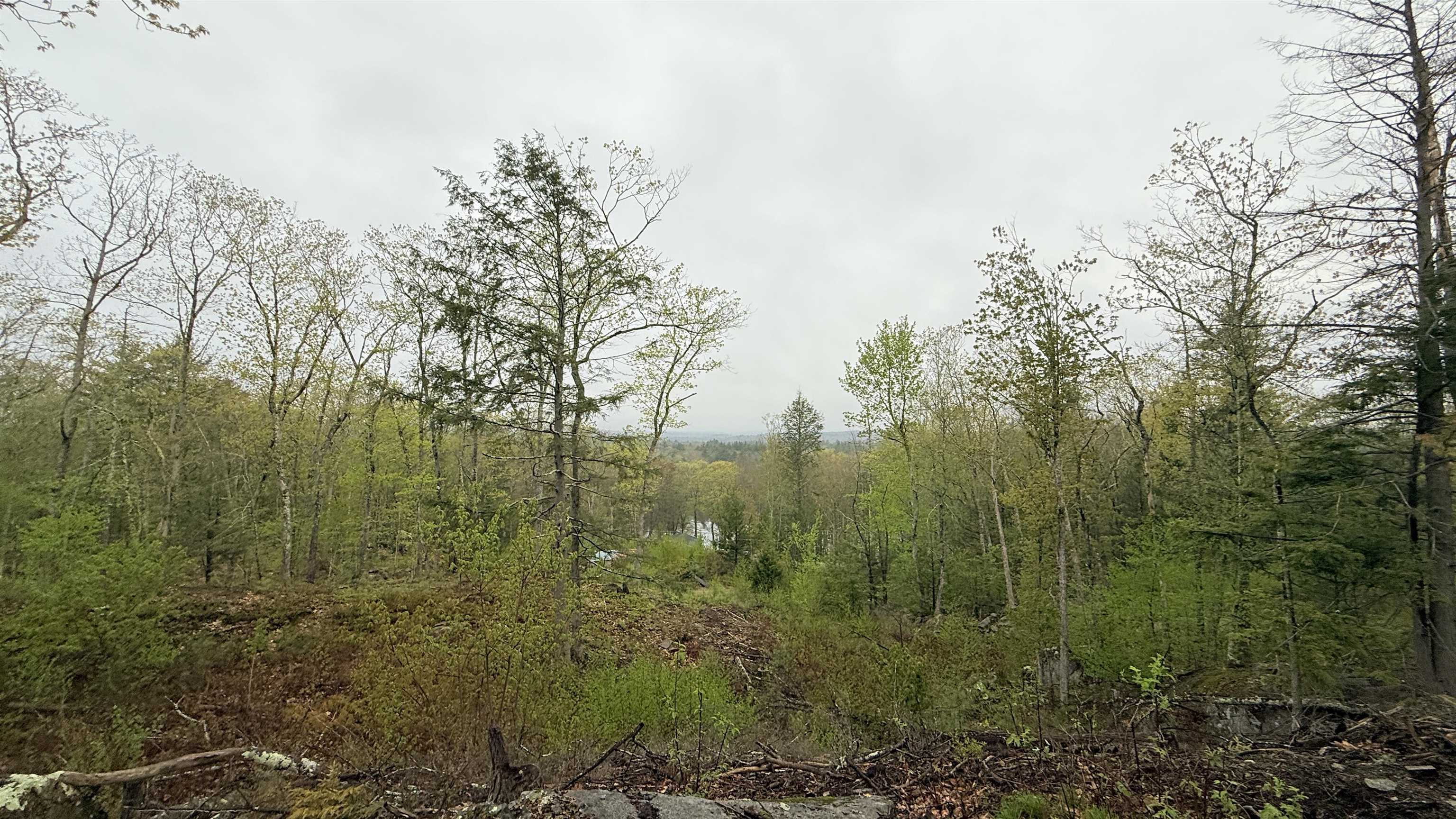 Map 104 Berry River Road 3 lots