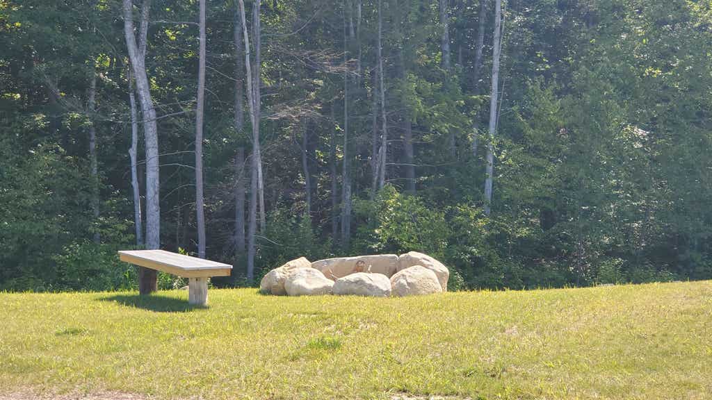 Photo of 231 Wilkele Road #23-1, Sandown, NH 03873 (MLS # 5105493)