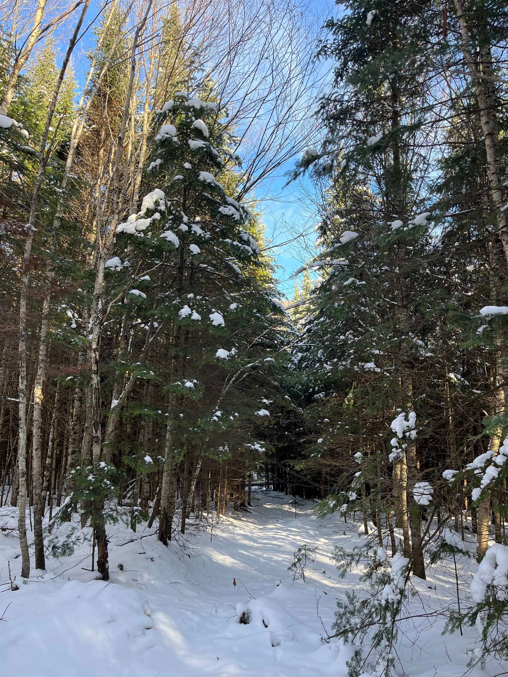 0 Shadow Lake Road
