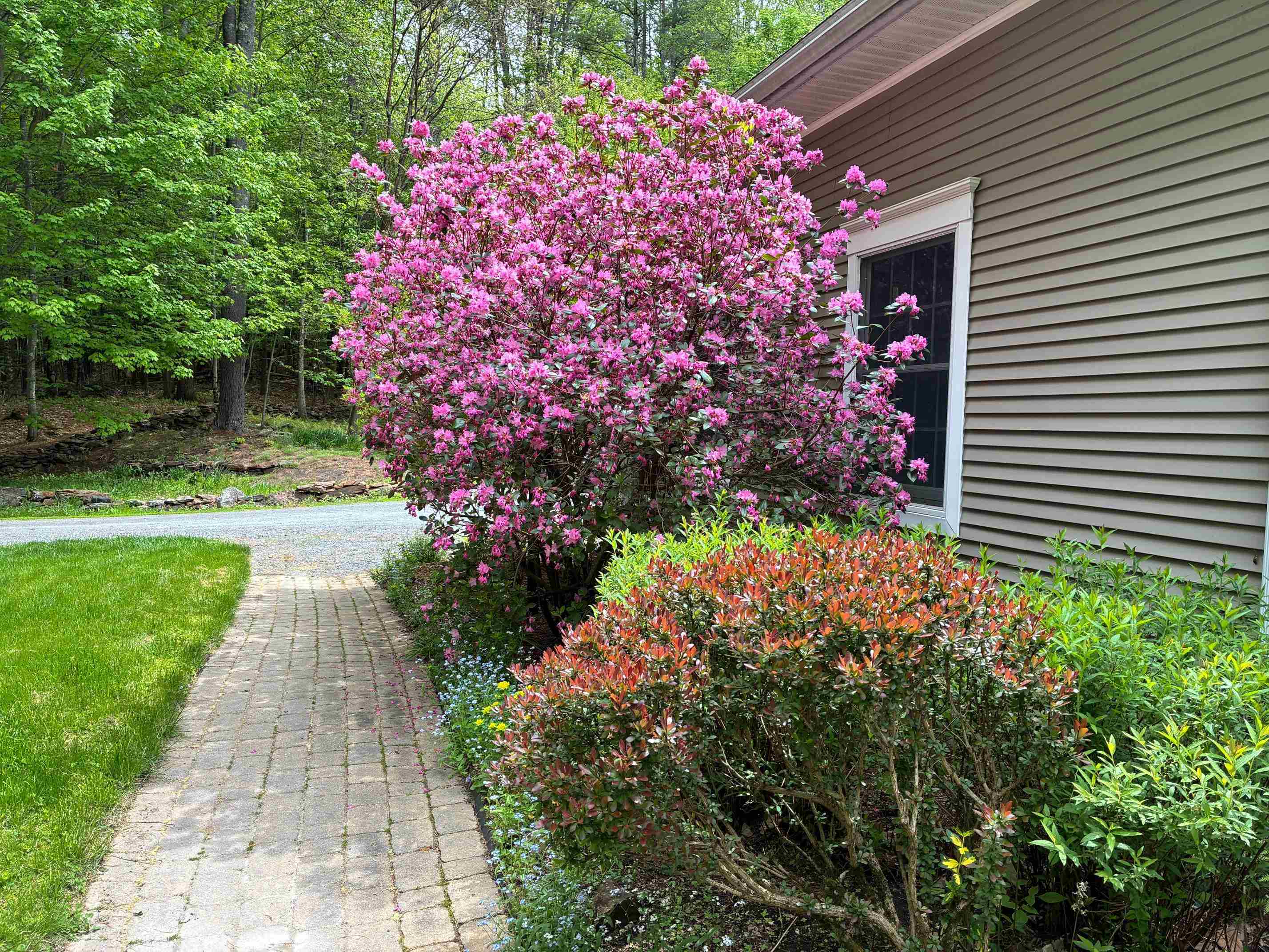 5 Grant Road