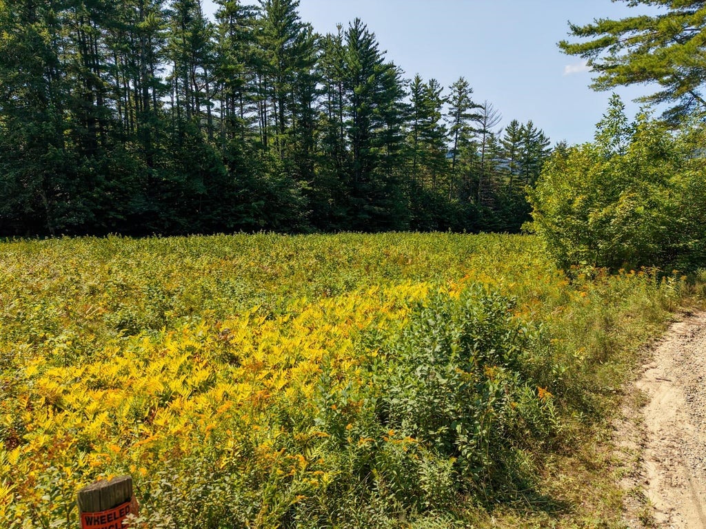 Photo of Mill Brook Road #034, Thornton, NH 03285 (MLS # 5109323)