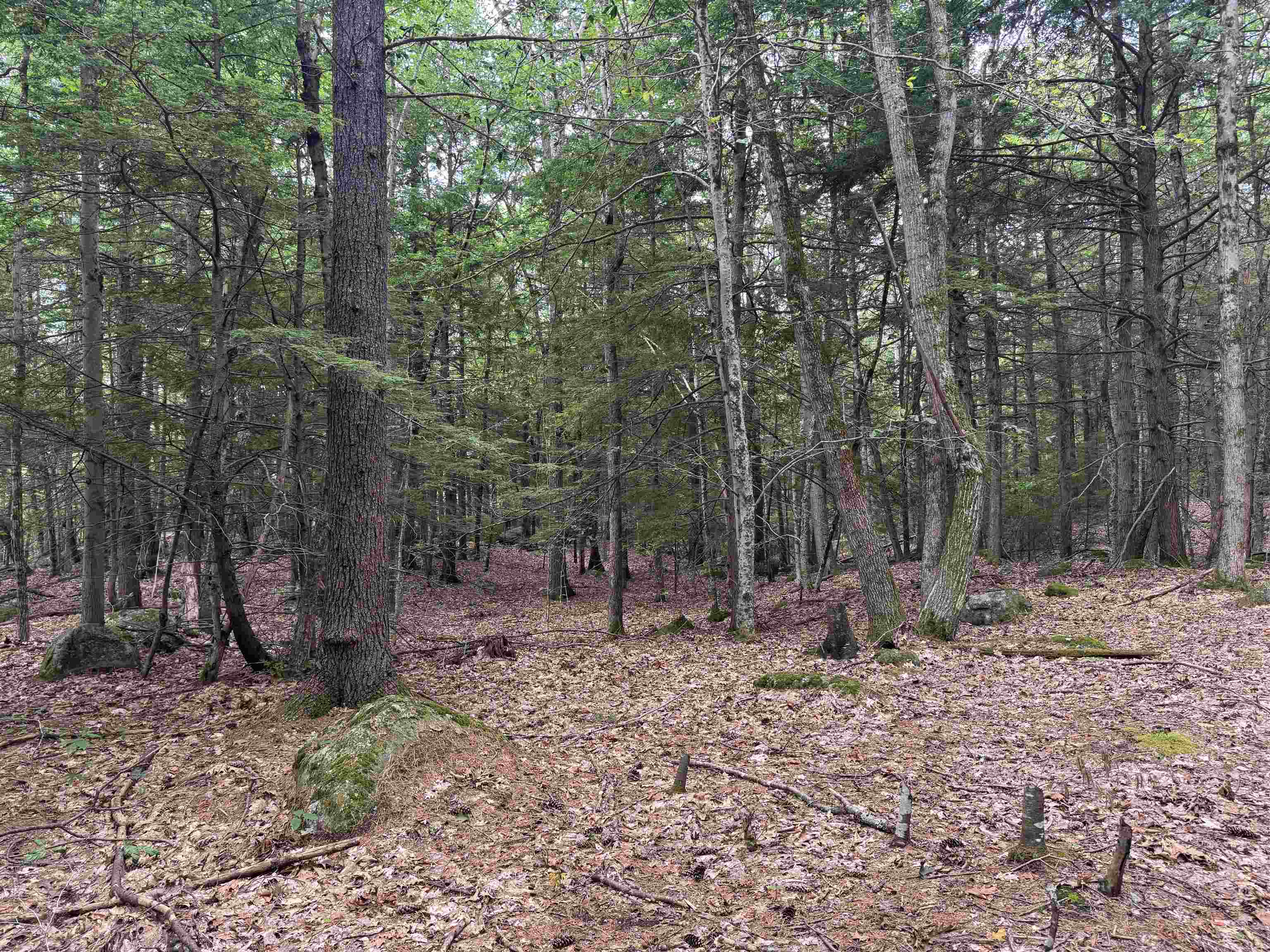 Lot R11-11-1 Forest Road