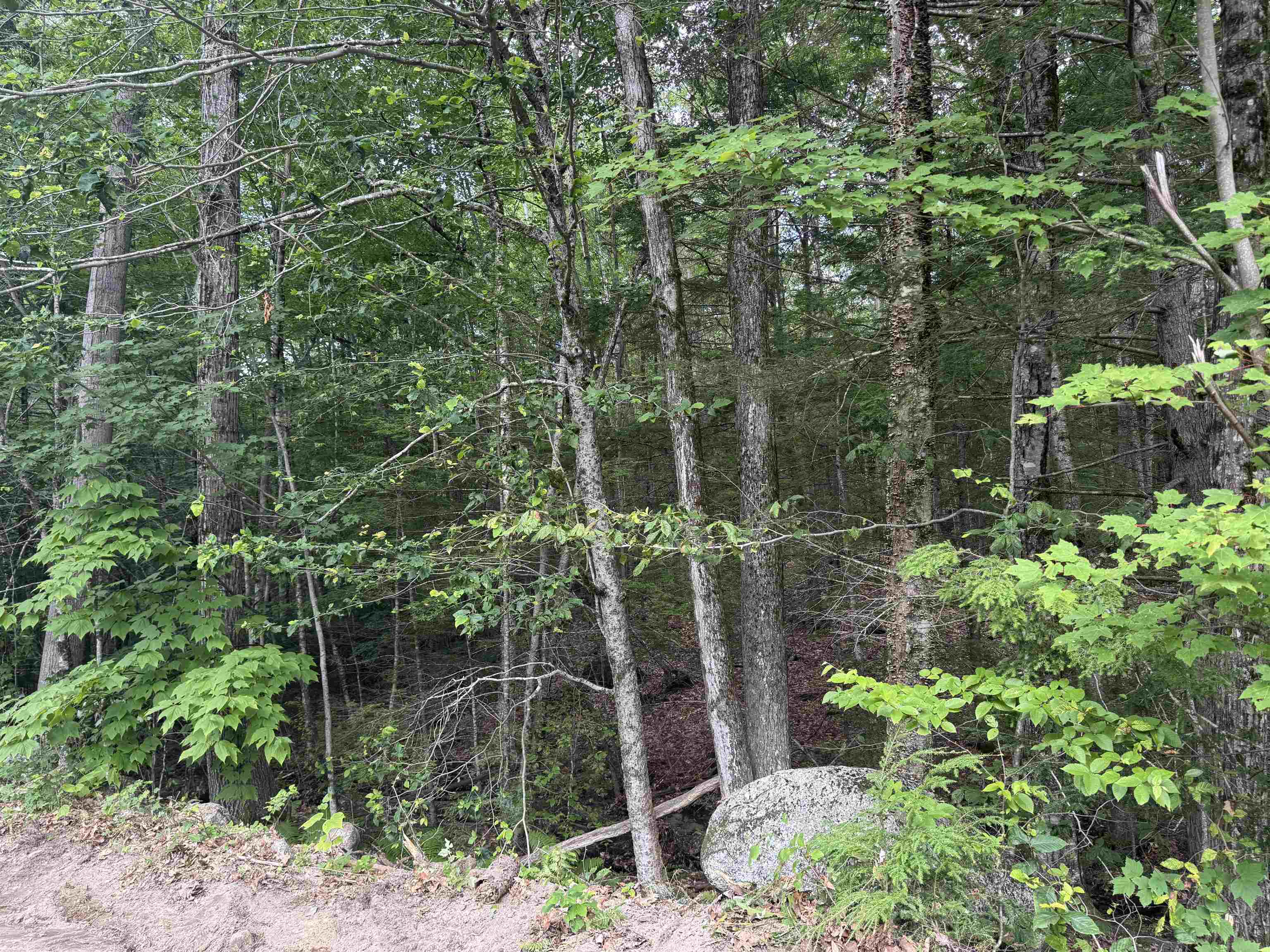 Lot R11-11-1 Forest Road