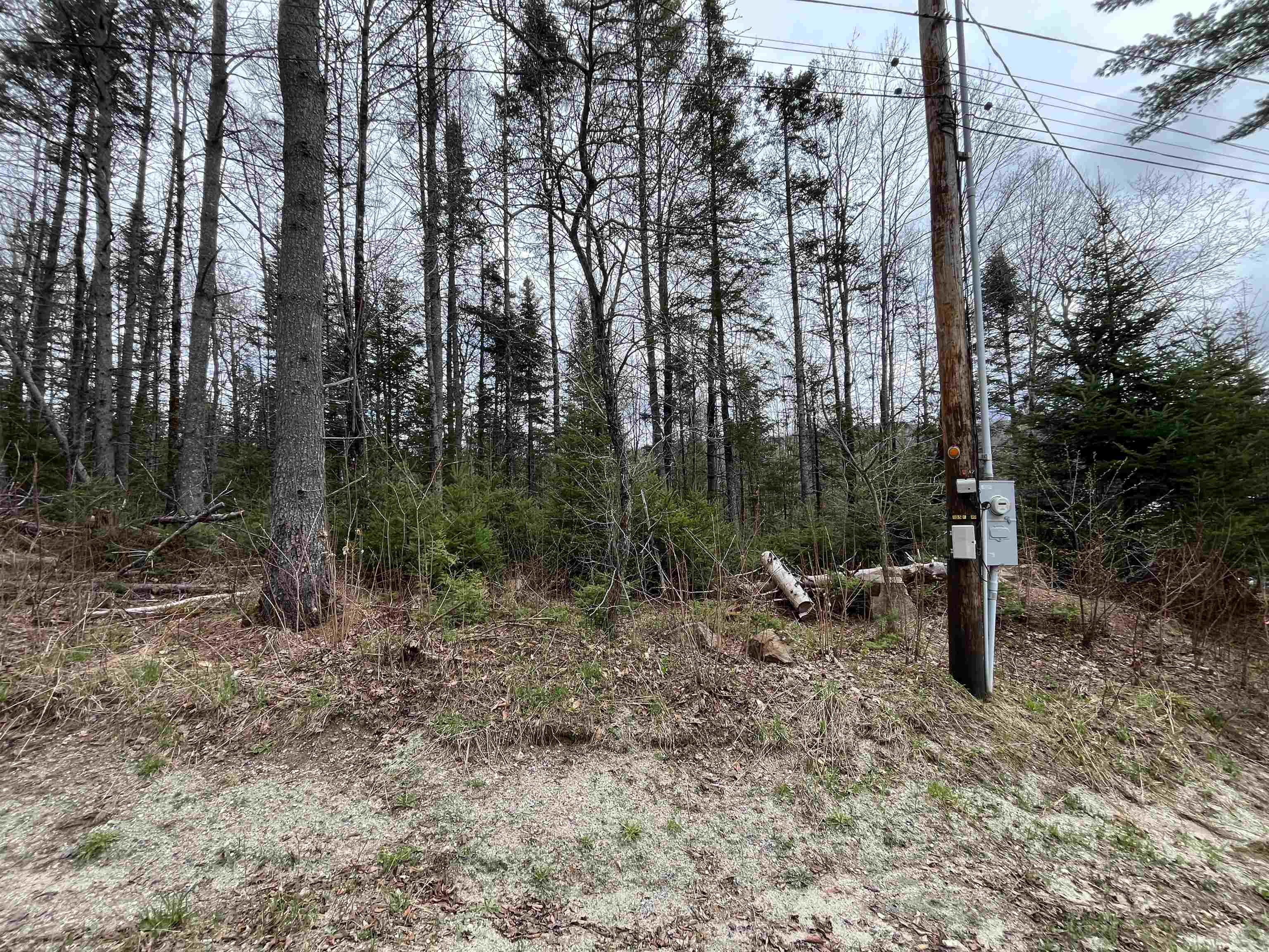TBD Center Pond Road