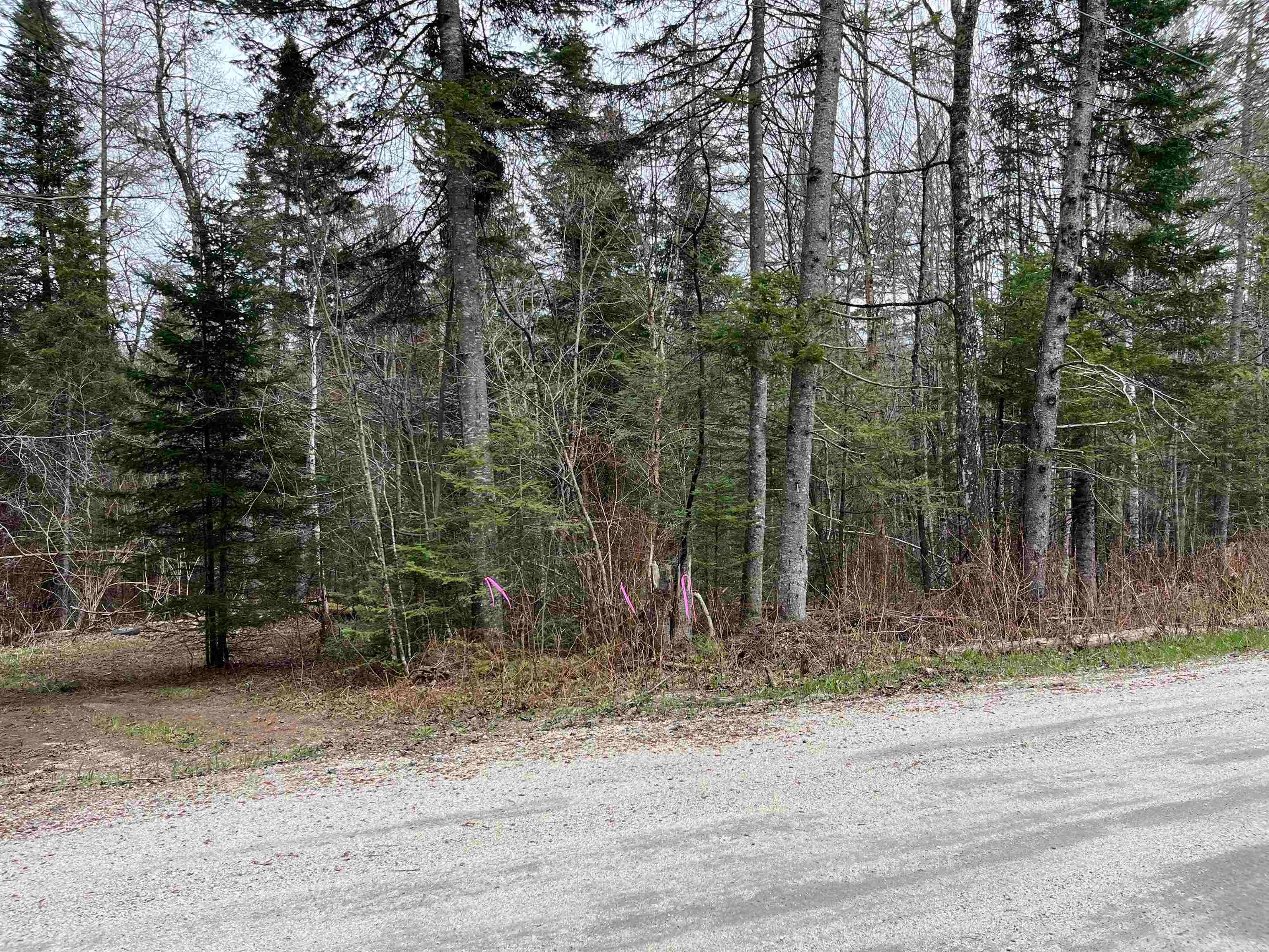 TBD Center Pond Road