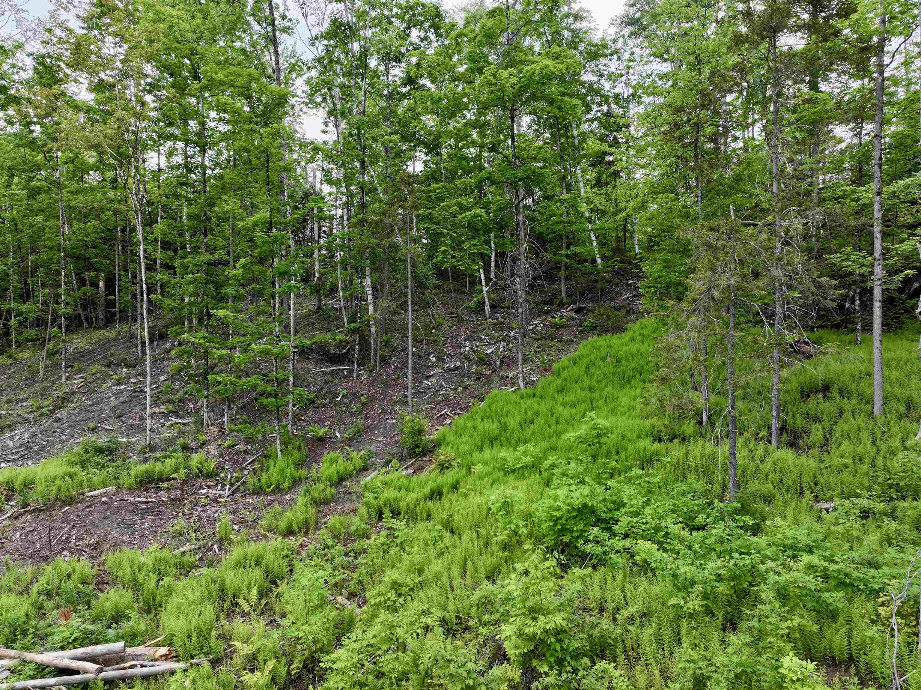 Lot 2 Lightening Ridge Road